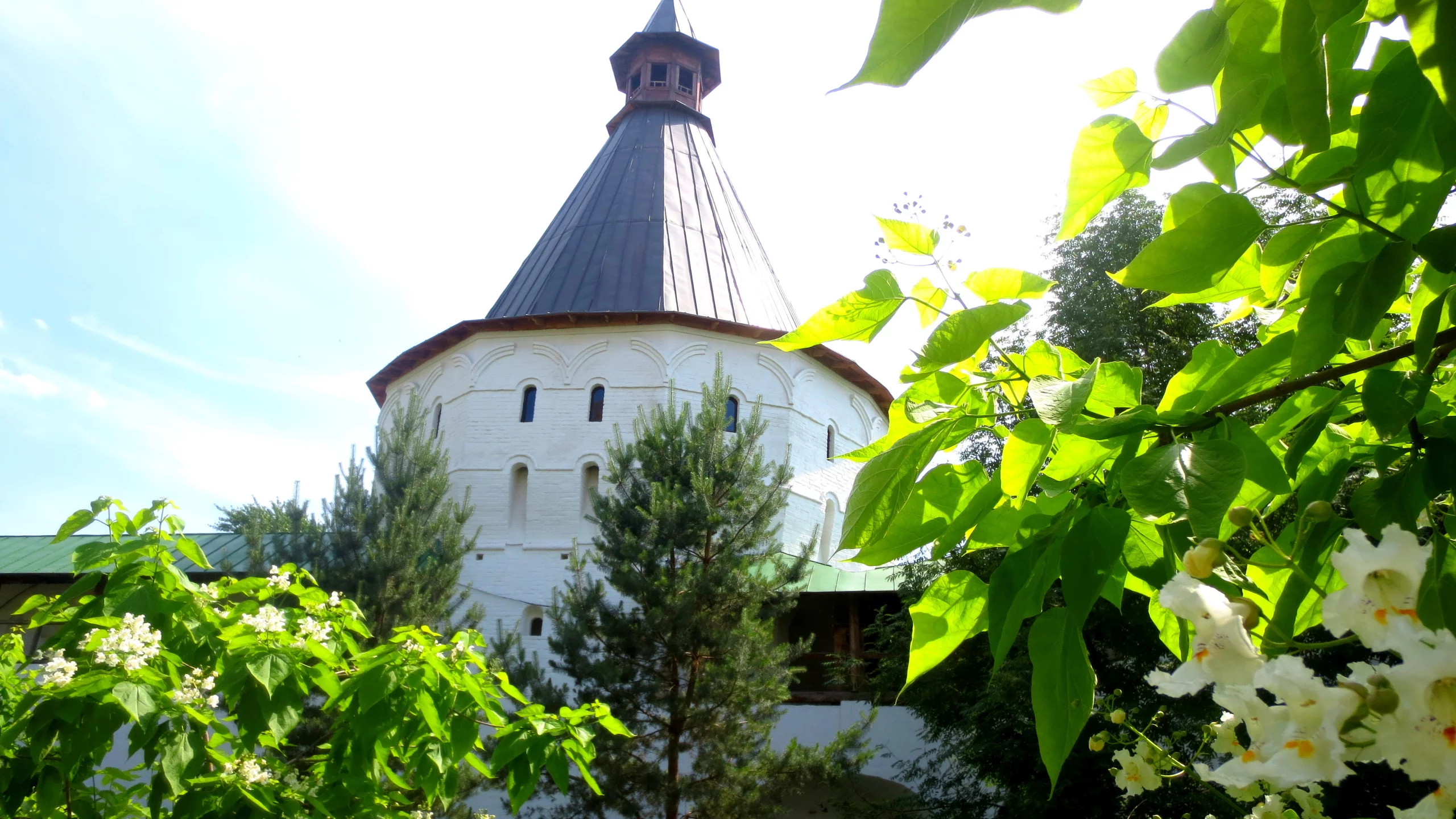 ветка, домик