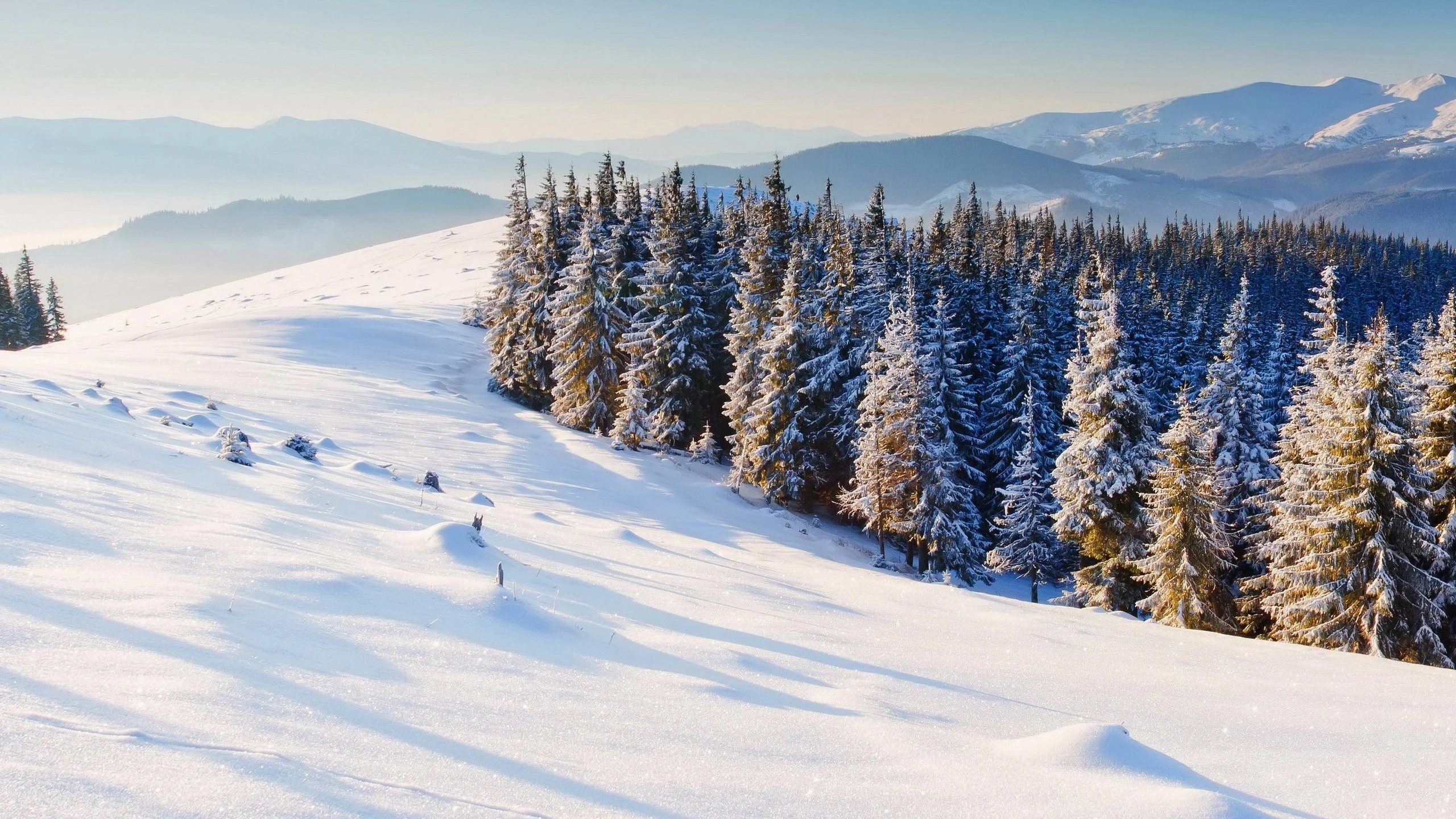 горы, winter, природа, зима, snow, деревья, снег, елки, фон