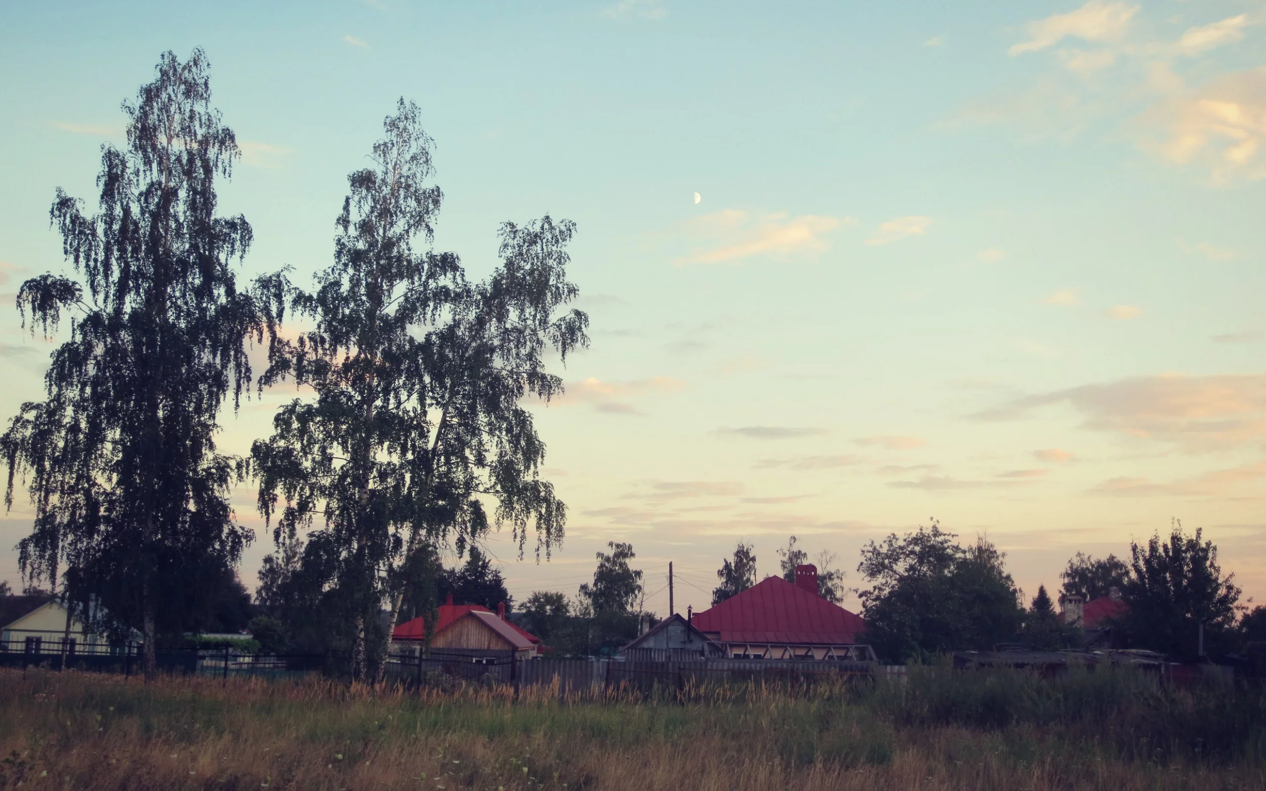 Поле, вечер