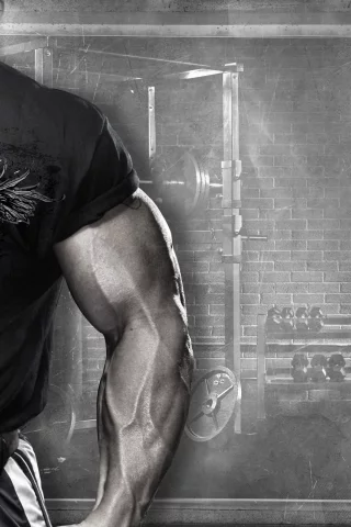 andy haman, мышцы, dymatize, спорт, спортпит