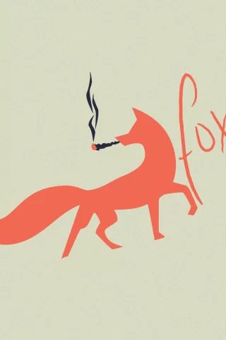 оранжевая лиса, лиса, fox, фокс, оранжевая лисица