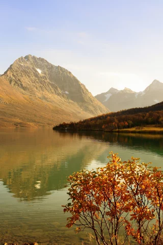 горы, осень, дерево, кустарник, лес, залив