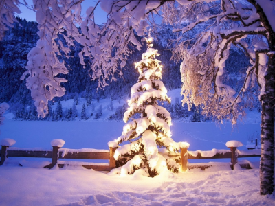 Новый год, 2015, дерево, рождество, подарок