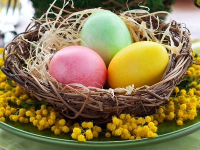 праздник, nest, flowers, eggs, bright, easter, holiday, пасха, yellow, mimosa