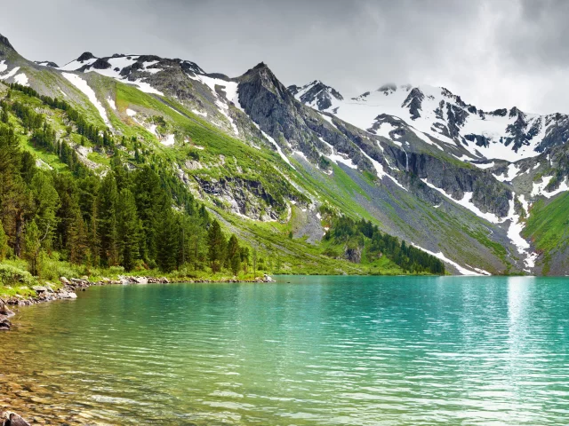 вершины, лес, горное озеро, снег, природа