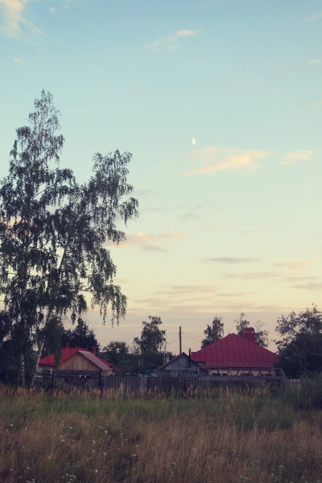 Поле, вечер