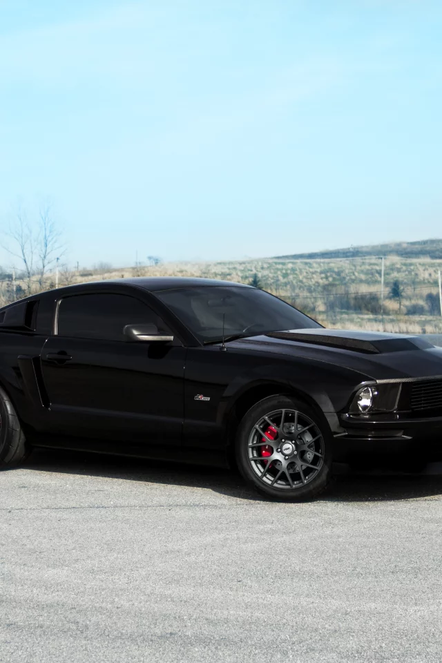 black, ford, and, landscape, gt, muscle, mustang, red, saleen, форд, shelby, мустанг