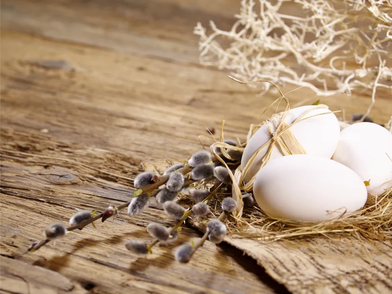 eggs, пасха, easter, яйца, willow twig, верба