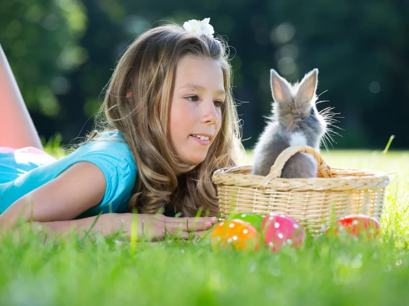 пасха, яйца, happy easter, пасхальные яйца, easter