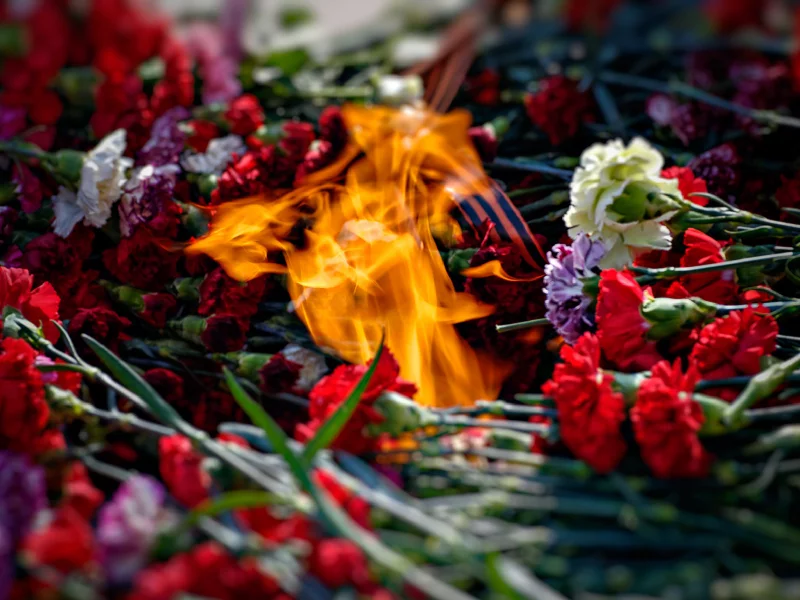 9-е мая, пламя, гвоздики, огонь, возложение, память