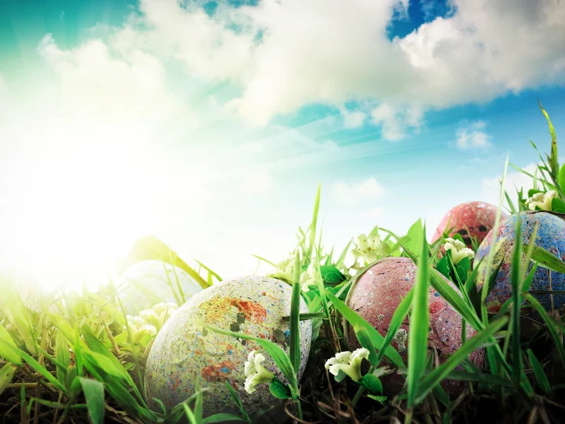 easter, пасха, праздник, цветы, весна, трава, яйца, природа
