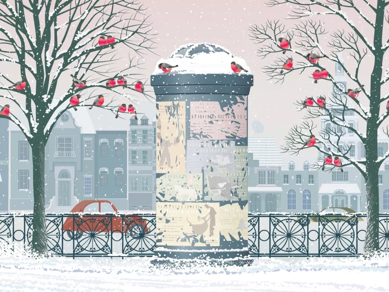 птицы, vector, merry christmas