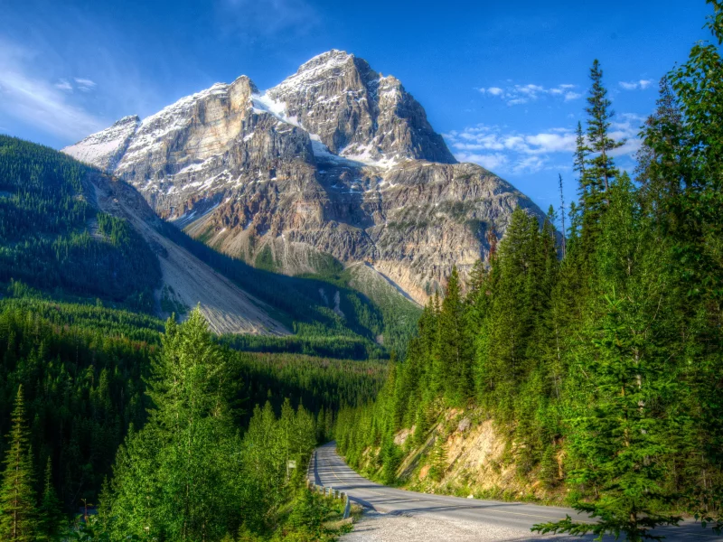 канада, пейзаж, yoho, склон, горы, парк, дорога, лес, hdr