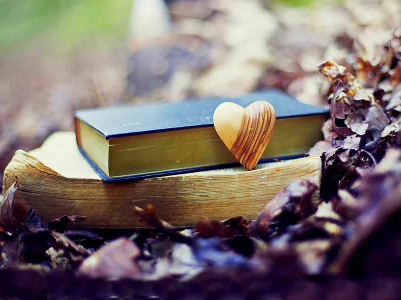 leaves, осень, heart, fall, nature, природа, autumn, park, old, forest, love, books