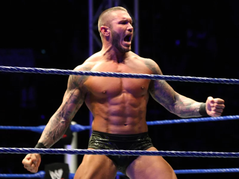 randy orton hd wallpaper 2013, mma, wwe, ufc, рестлер, ренди ортон