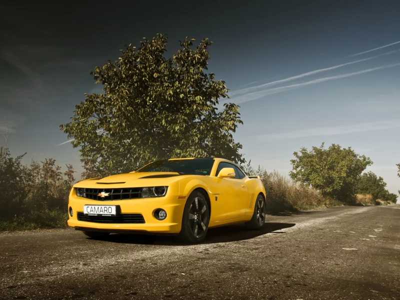camaro, muscle car, камаро, chevrolet, дорога, авто, желтый, шевроле