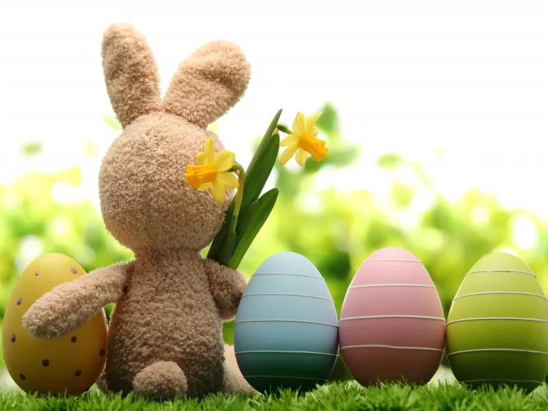 весна, трава, природа, цветы, пасха, easter, праздник