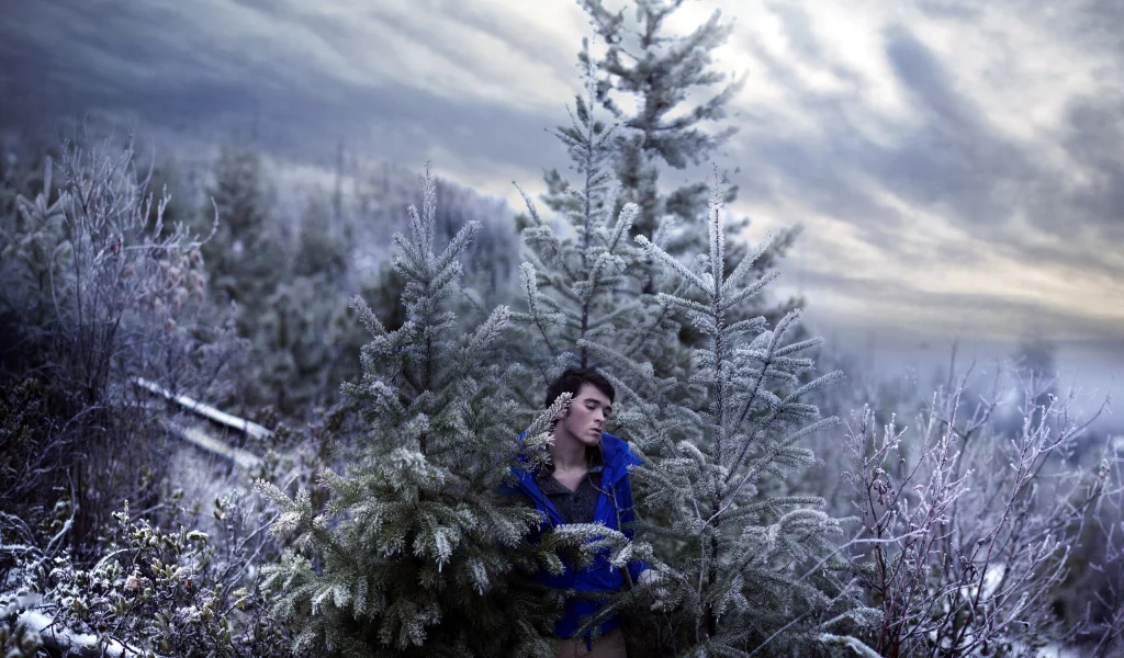sky, self, portrait, trees, snow, art, cold