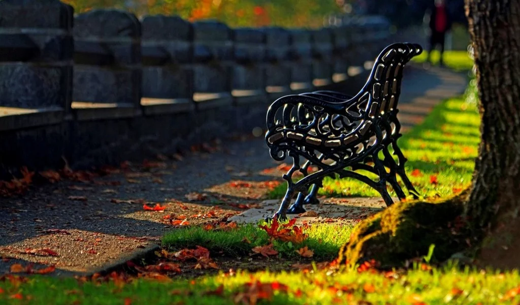 листья, leaves, hdr, nature, grass, park, road, forest, walk, colors, autumn, bench, trees