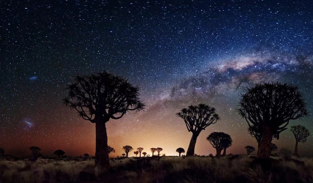 night, stars, joshua tree