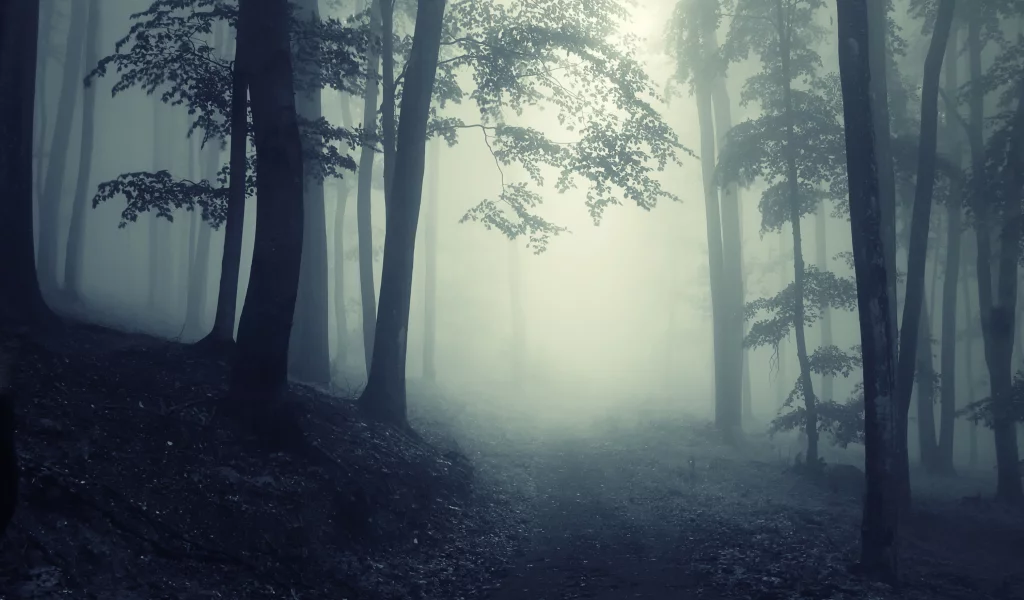 road, deep, леса, nature, foggy, creepy, misty, forest, глубокие, trees, landscape