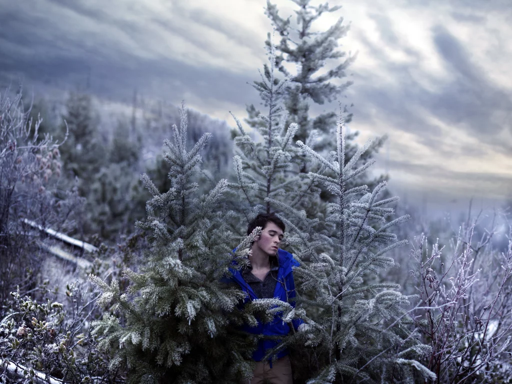 sky, self, portrait, trees, snow, art, cold