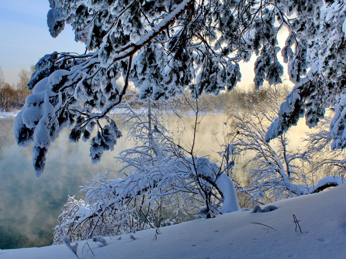 река, зима, снег, деревья, природа
