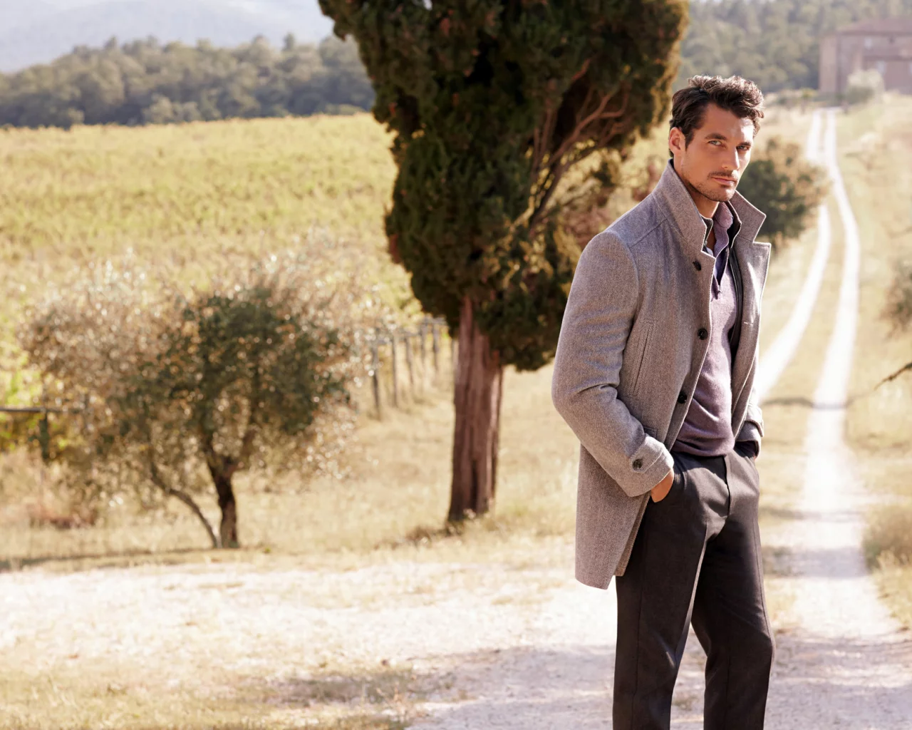 поле, дэвид ганди, модель, мужчина, дорога, david gandy