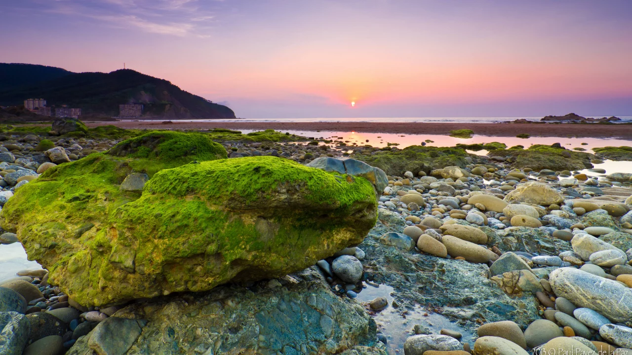 море, водоросли, камни, рассвет, утро, камень