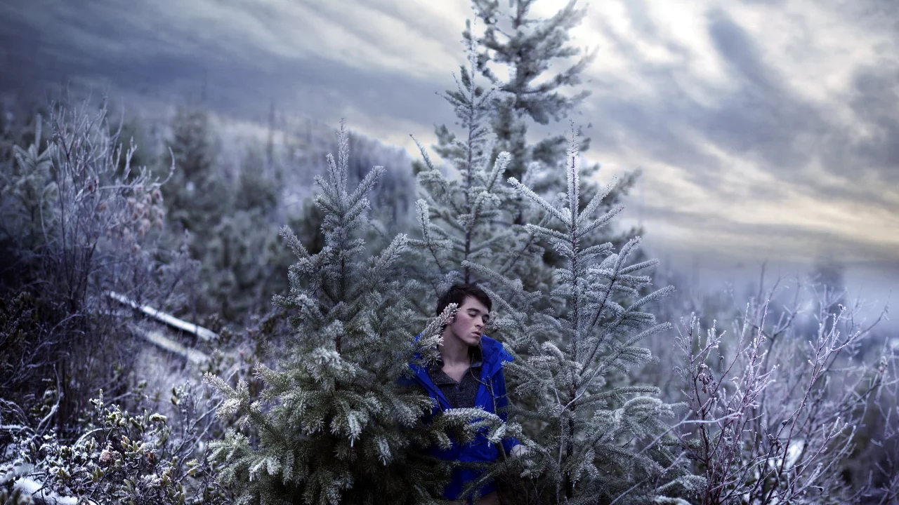sky, self, portrait, trees, snow, art, cold
