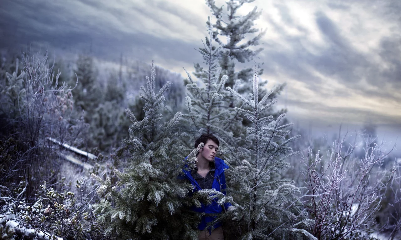 sky, self, portrait, trees, snow, art, cold
