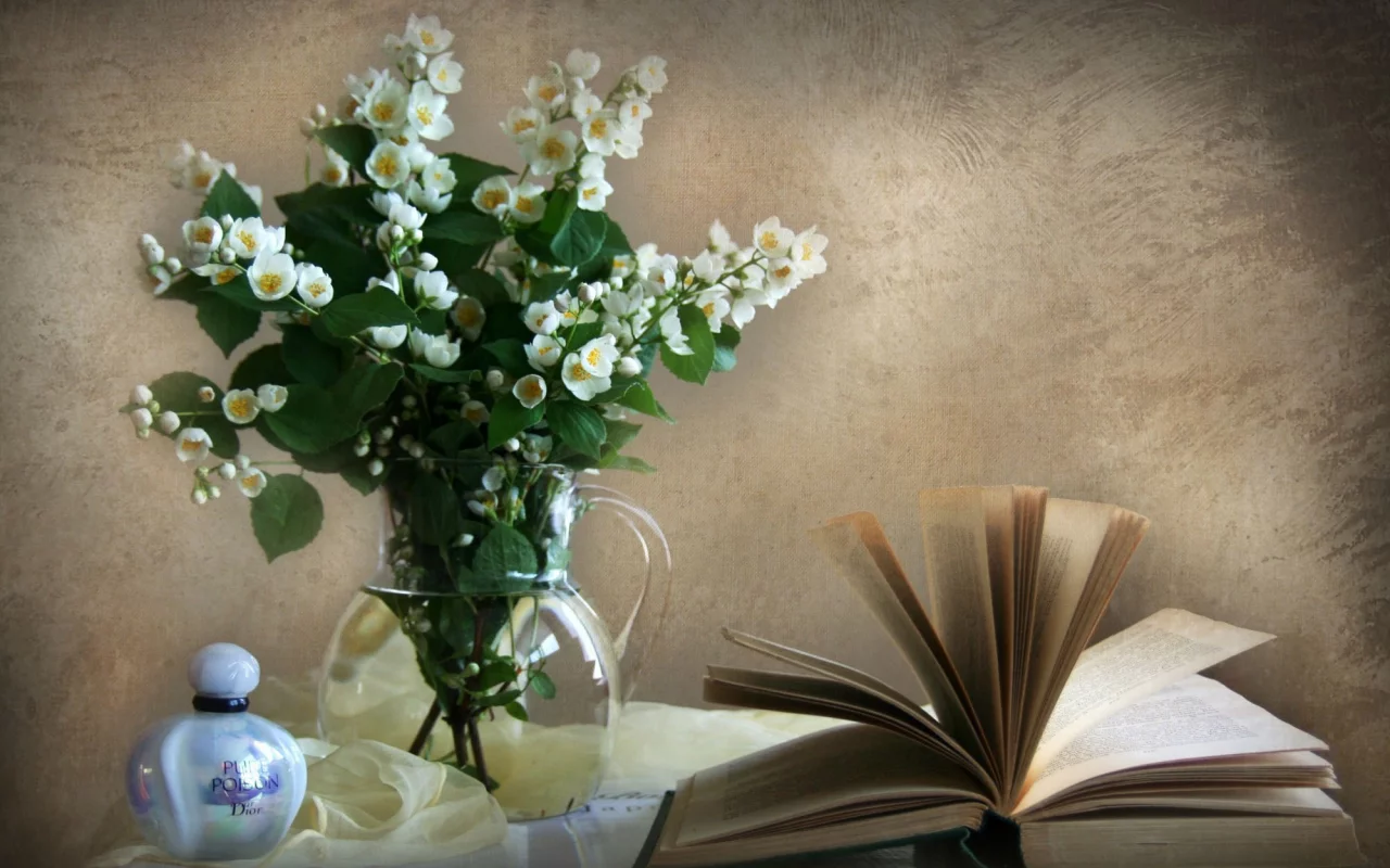  стена, духи, ваза, жасмин, книга