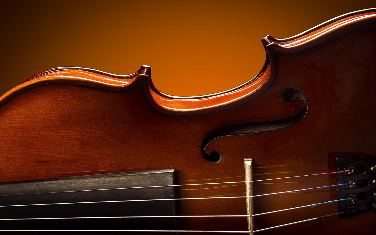 макро, royal violin, блеск, лак, скрипка