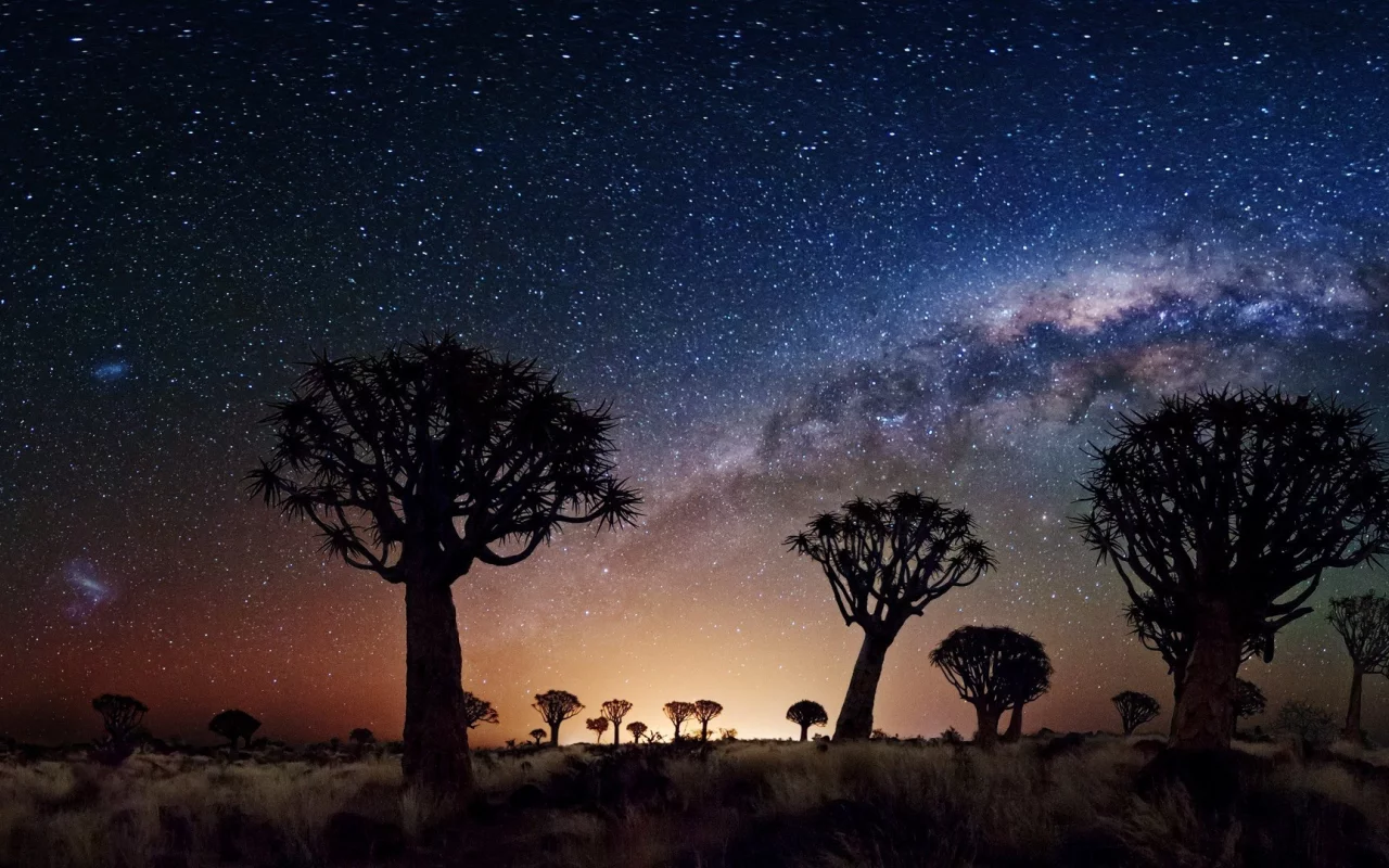 night, stars, joshua tree