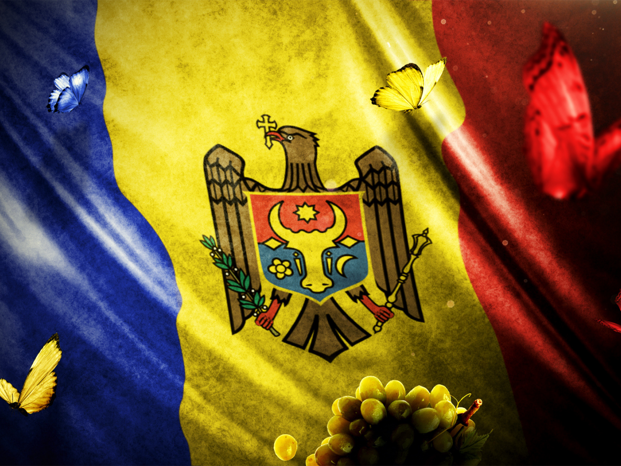 mocanu, blue, marin, design, red, md, flag, moldova, yellow