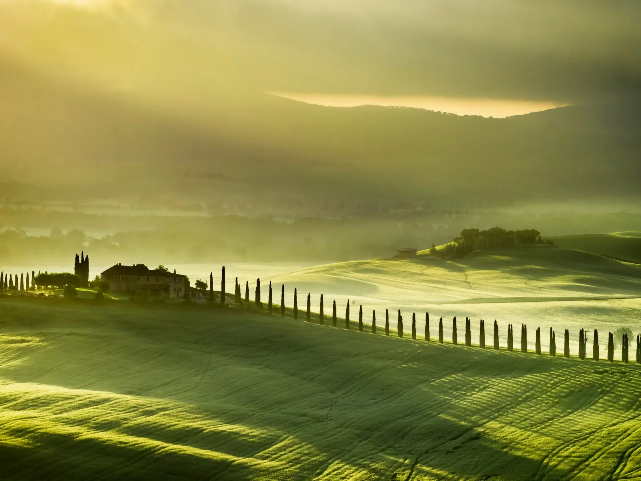 tuscany, italy, пейзаж, поле, туман