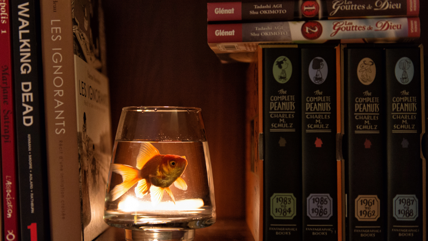шкаф, книги, стакан, вода, рыбка