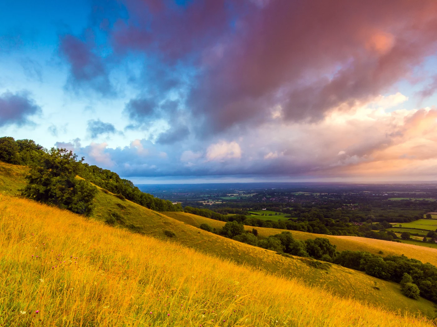 england, англия, great britain, саут даунс, south downs, plumpton