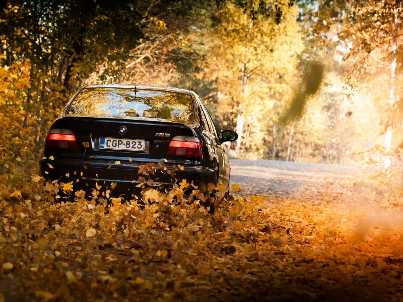 фары, оcень, black, m5, листья, e39, бмв, bmw