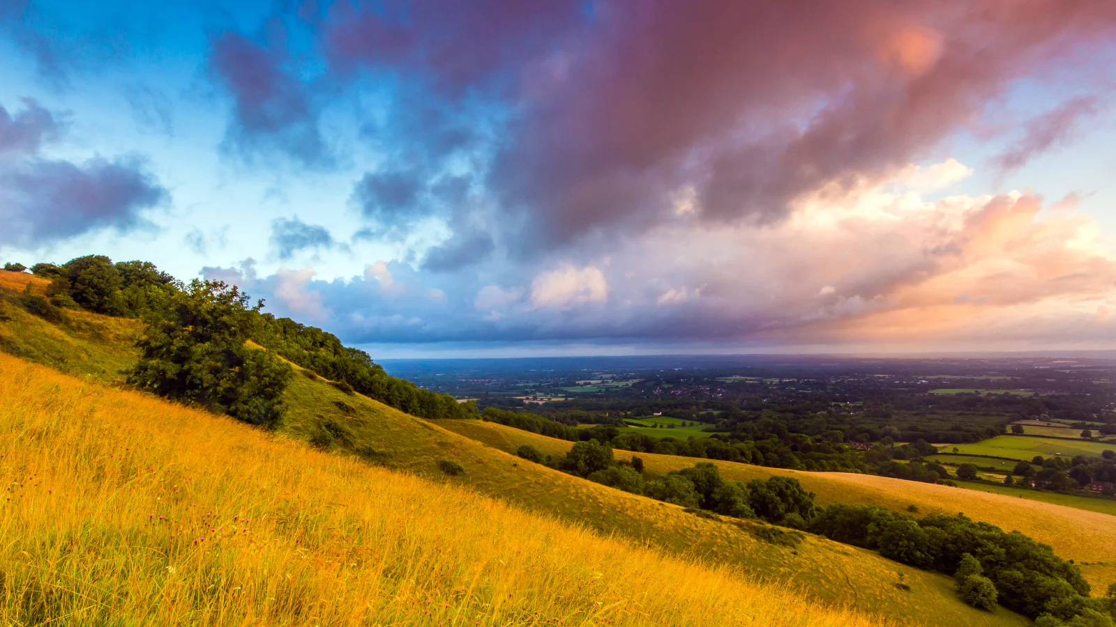 england, англия, great britain, саут даунс, south downs, plumpton