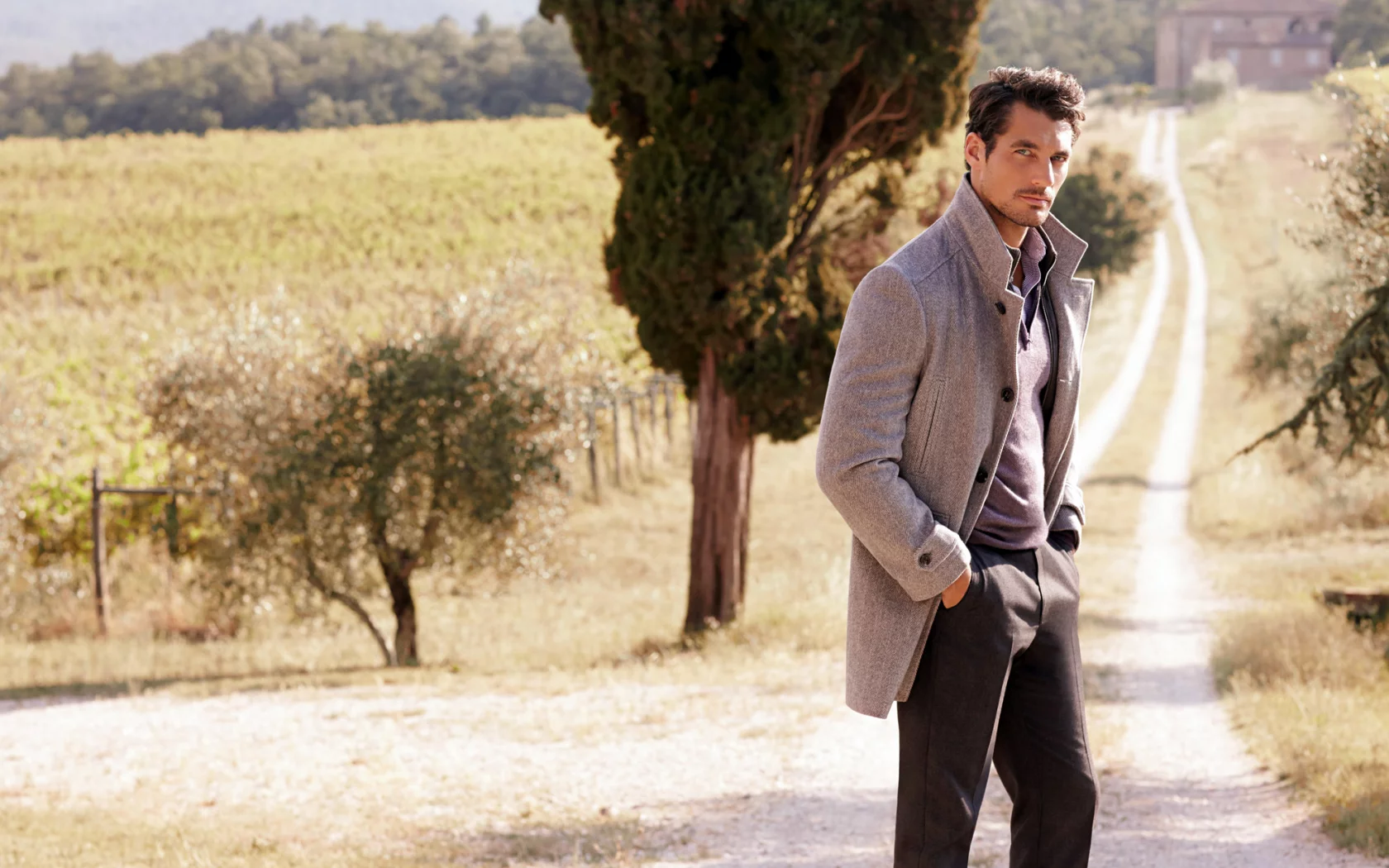 поле, дэвид ганди, модель, мужчина, дорога, david gandy