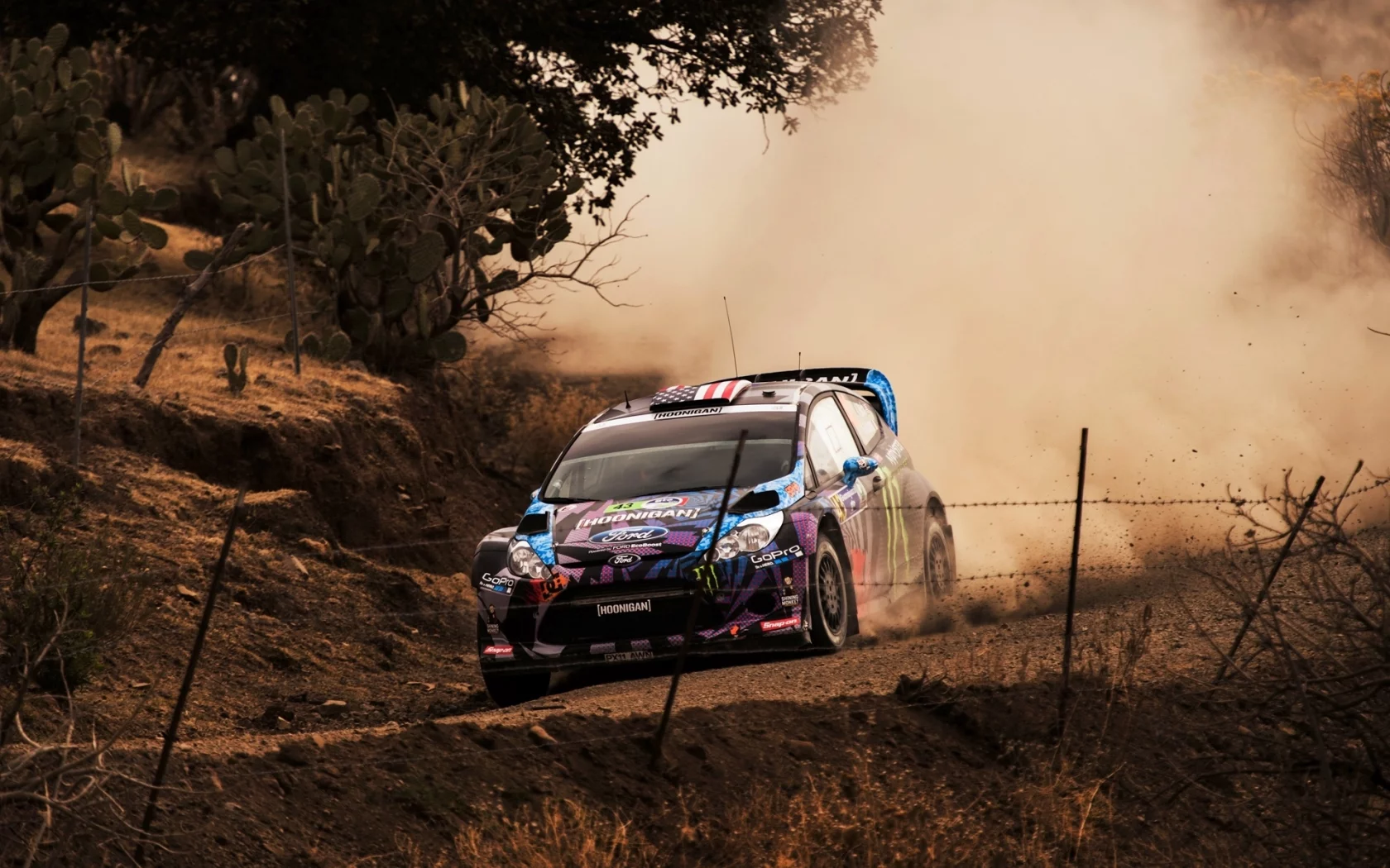 спорт, wrc, rally, ken block, fiesta, гонка, авто, пыль, ford