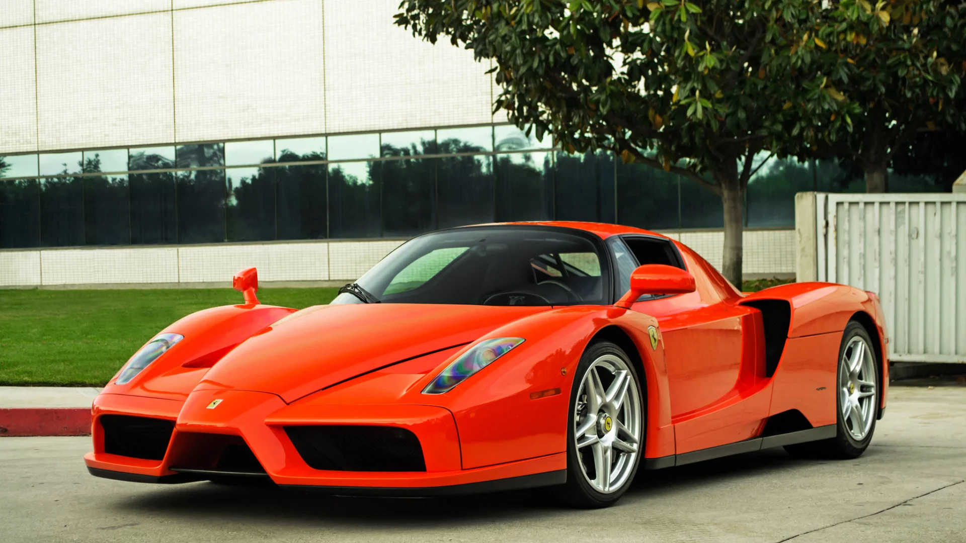 enzo, вид спереди, энцо, феррари, ferrari, дерево, red, красный