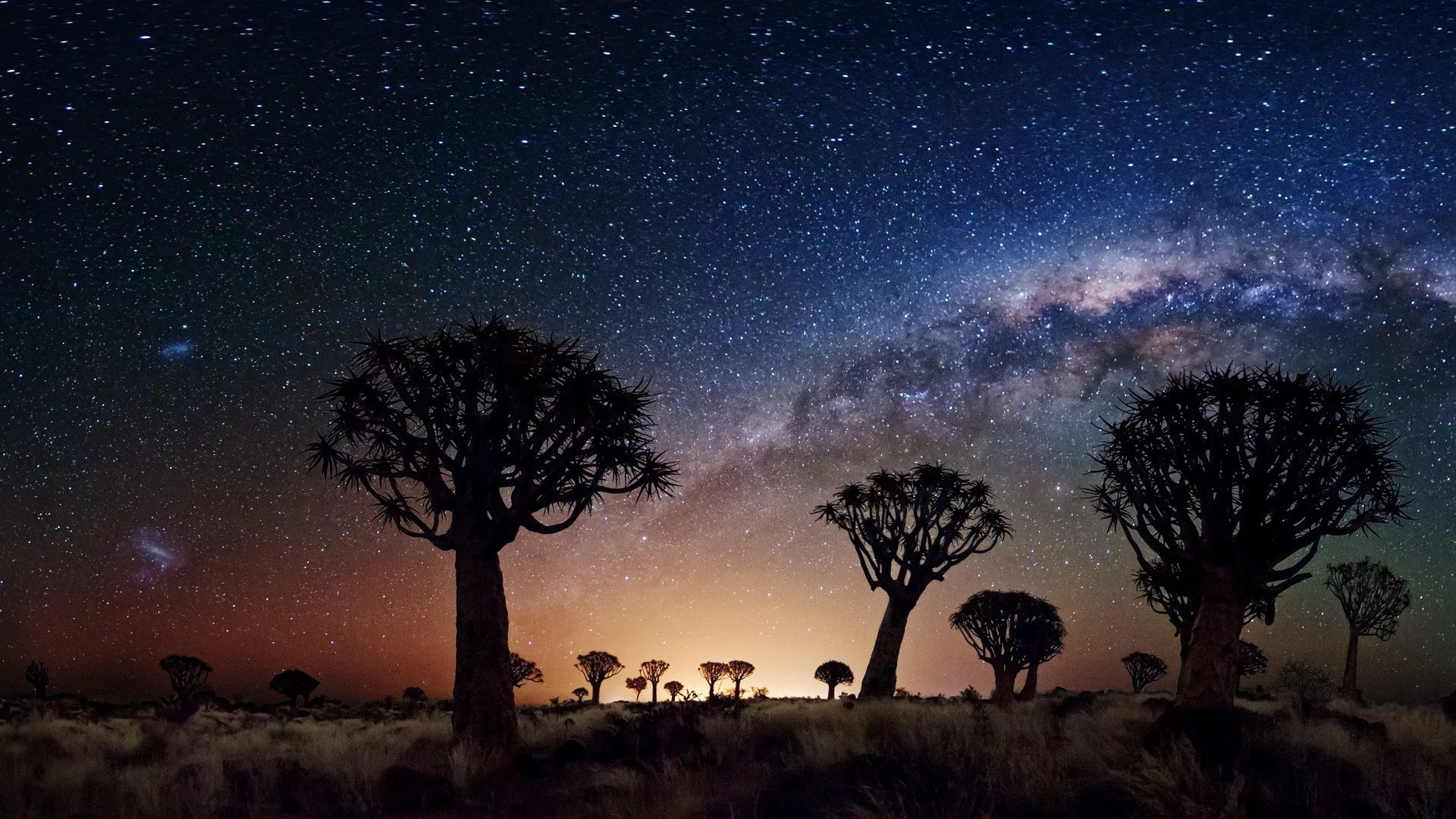 night, stars, joshua tree