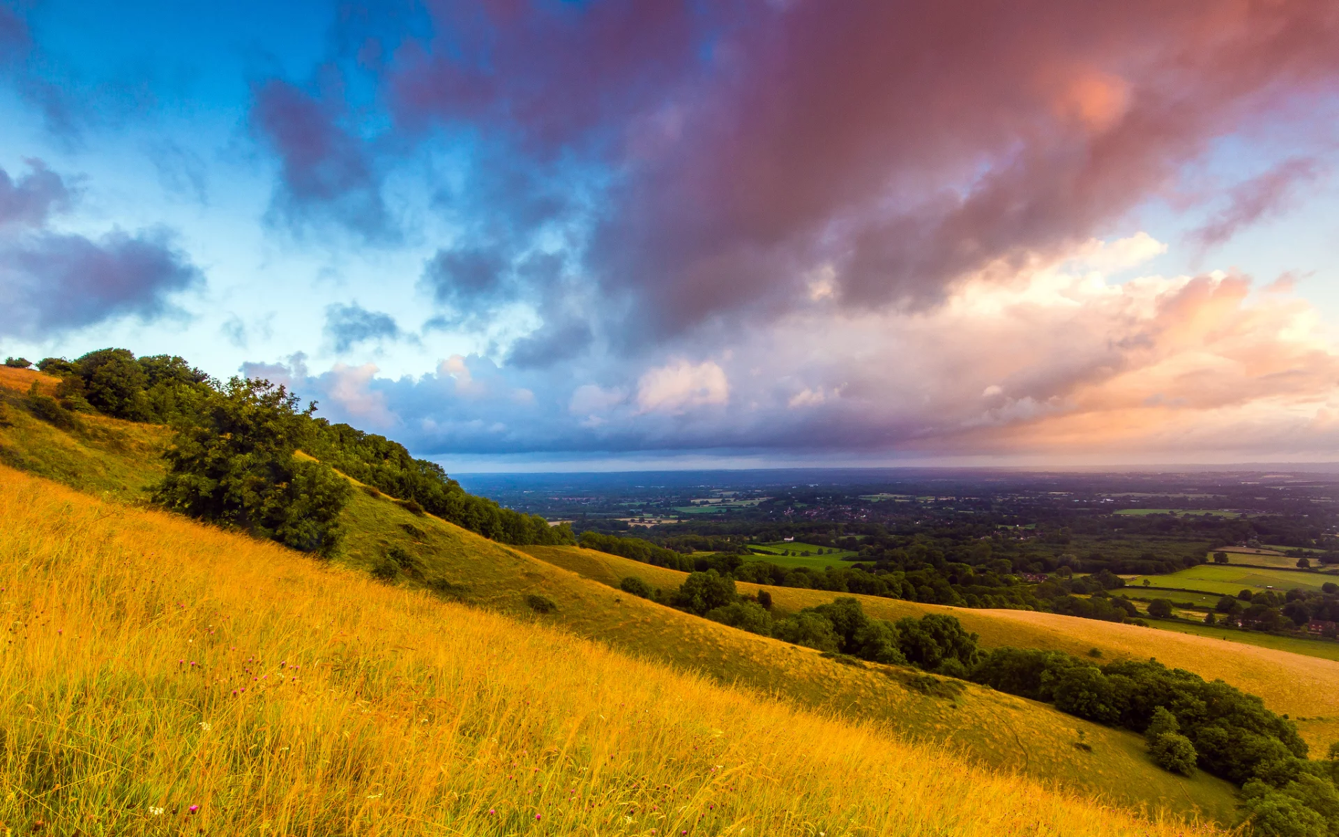 england, англия, great britain, саут даунс, south downs, plumpton