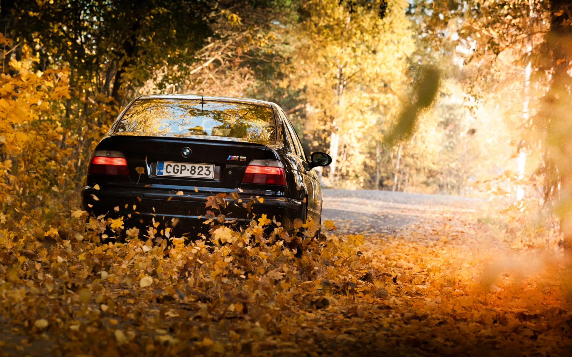 фары, оcень, black, m5, листья, e39, бмв, bmw