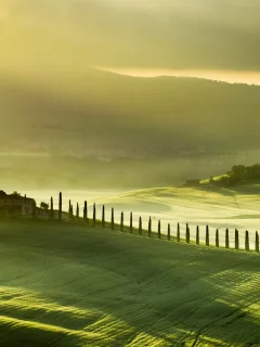 tuscany, italy, пейзаж, поле, туман