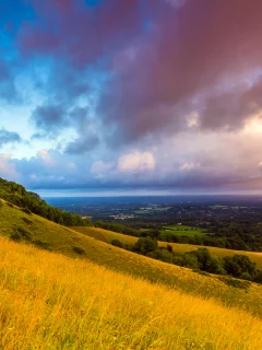 england, англия, great britain, саут даунс, south downs, plumpton