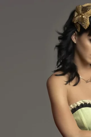 perry, katy, певица