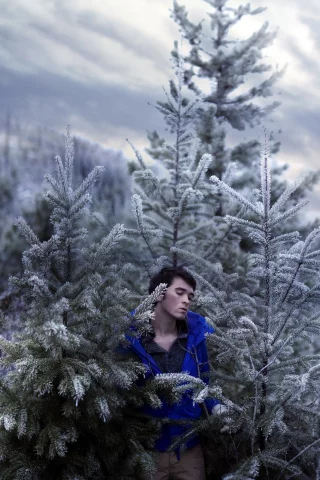 sky, self, portrait, trees, snow, art, cold